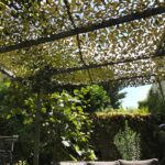 Filet de camouflage renforcé vert